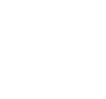 Microsoft Partner